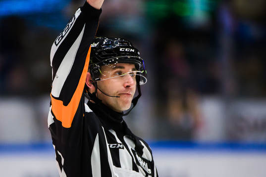 Domare Linus Öhlund
