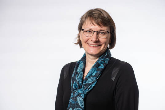 Helena Nilsson, Elitfotboll Dam