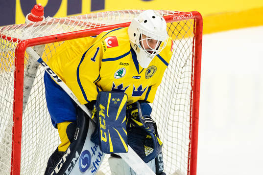 goalkeeper Jhonas Enroth of Sweden