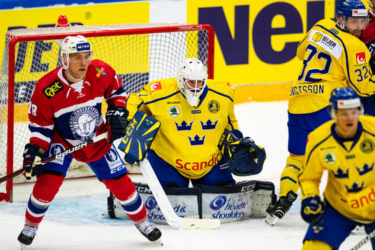 goalkeeper Jhonas Enroth of Sweden