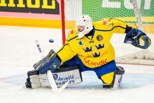 Goalkeeper Jhonas Enroth of Sweden
