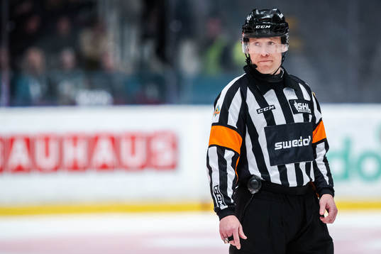 Domare Tobias Björk