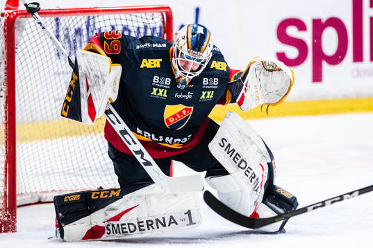 Djurgårdens målvakt Adam Reideborn