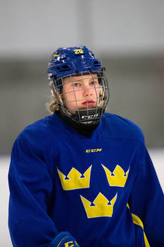 Karl Henriksson