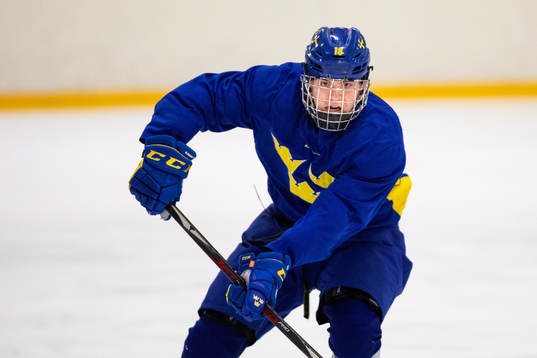 Bläddra bland fler bilder av Ishockey, Inför U18-VM, Sverige, Träning