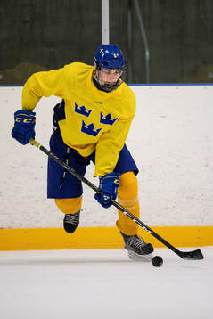 Alex Brännstam