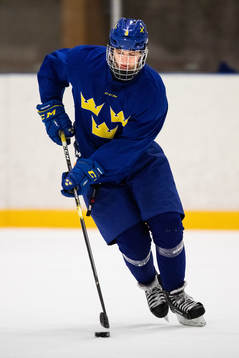 Sveriges Ludvig Hedström