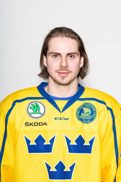 Bläddra bland fler bilder av Ishockey, U18, Sverige, Porträtt