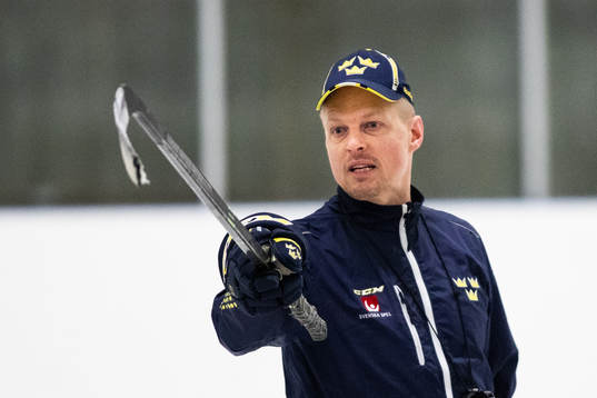Huvudtränare Magnus Hävelid
