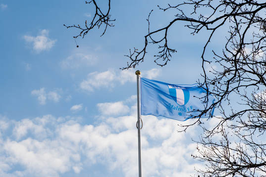 En Malmö FF flagga