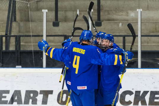 Sveriges spelare jublar