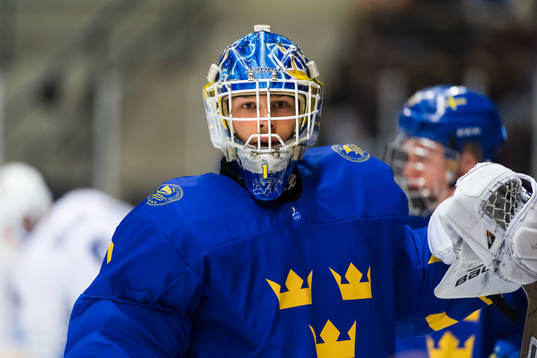 Sveriges Målvakt Hugo Alnefelt