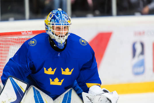 Sveriges målvakt Hugo Alnefelt