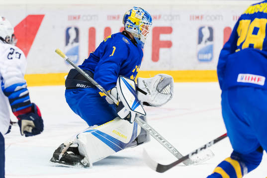 Sveriges målvakt Hugo Alnefelt