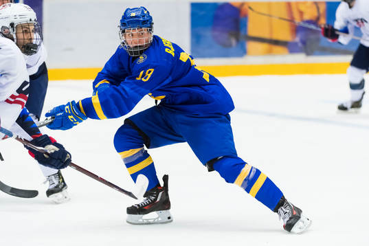 Sveriges Oscar Bjerselius