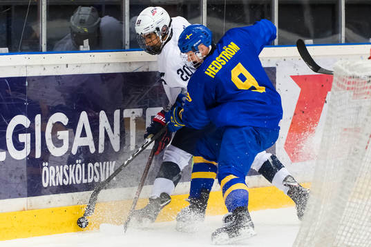 USAs Matthew Berniers mot Sveriges Ludvig Hedström