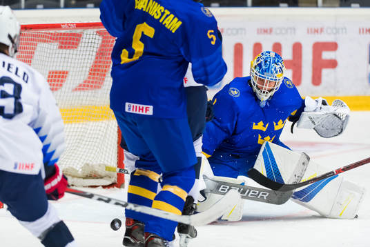 Sveriges målvakt Hugo Alnefelt