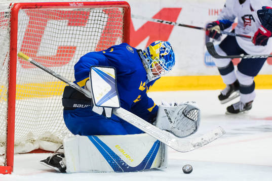 Sveriges målvakt Hugo Alnefelt