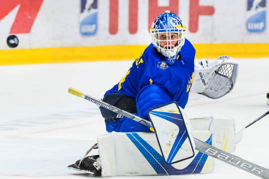 Sveriges målvakt Hugo Alnefelt