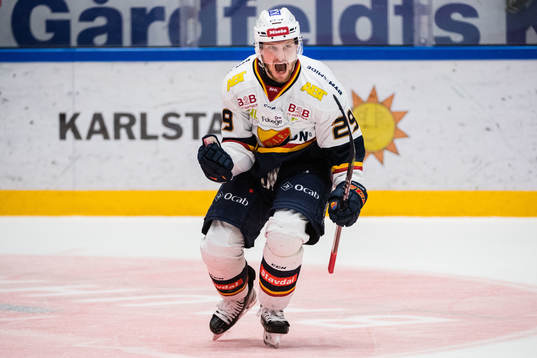 Djurgårdens Sebastian Strandberg jublar