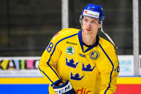 Viktor Svedberg of Sweden