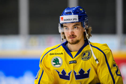 Adam Brodecki of Sweden