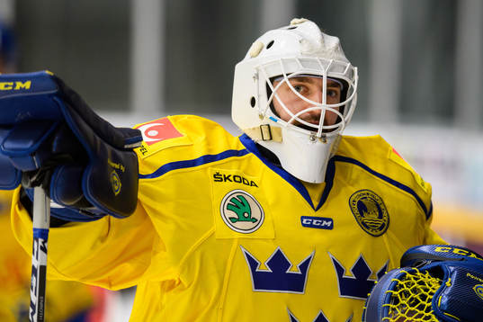 Goalkeeper Jhonas Enroth of Sweden