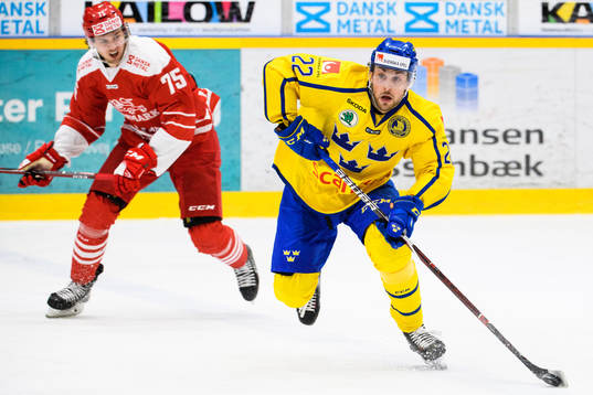 Mathias From of Denmark and Jonathan Andersson of Sweden
