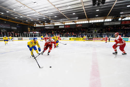 Mathias Bromé of Sweden and Frederik Strom of Denmark