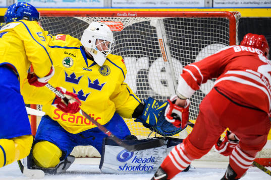 Goalkeeper Jhonas Enroth of Sweden