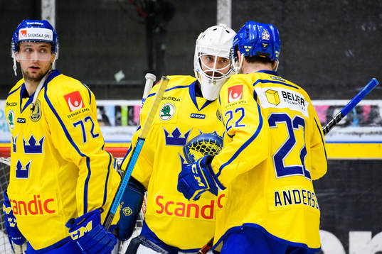 Goalkeeper Jhonas Enroth of Sweden celebrates with Daniel