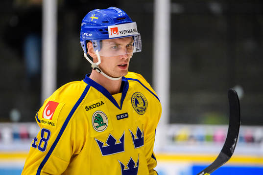 Viktor Svedberg of Sweden