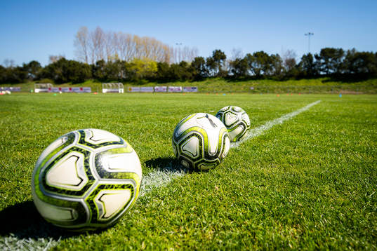 Fotbollar ligger uppradade på gräsmattan