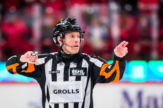 Domare Tobias Björk