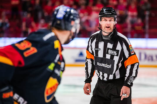 Domare Mikael Nord