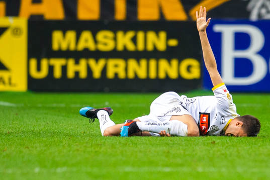 Häckens Daleho Irandust har ont