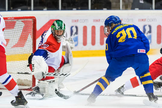 the czech republic Goalkeeper Radek Bednar and Swedens Karl