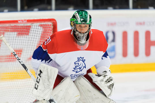 the czech republic Goalkeeper Radek Bednar