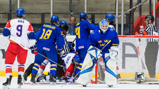 Swedens Goalkeeper Hugo Alnefelt of Sweden Oscar Bjerselius