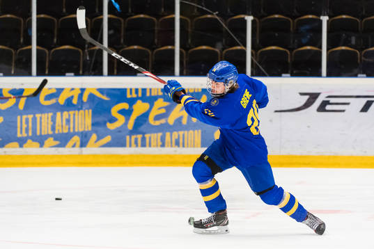 Swedens Albin Grewe