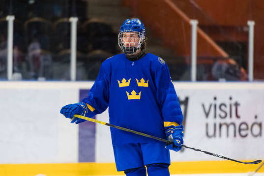 Swedens Albert Johansson