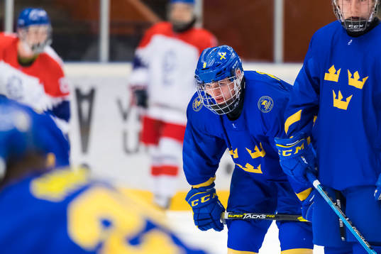 Swedens Ludvig Hedström