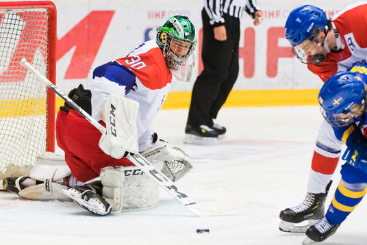the czech republic Goalkeeper Radek Bednar