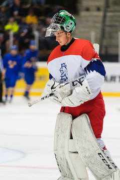 the czech republic Goalkeeper Jan Bednar