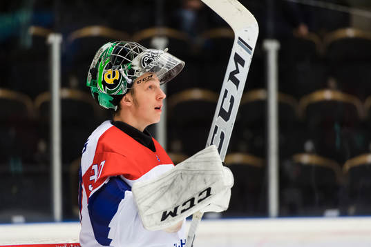 the czech republic Goalkeeper Jan Bednar