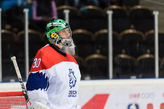 The Czech Republic Goalkeeper Jan Bednar
