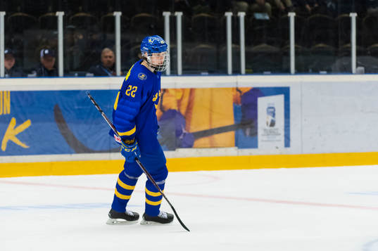 Swedens Max Wahlgren