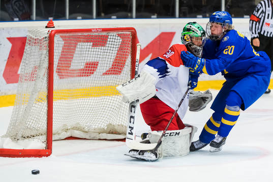 The Czech Republic Goalkeeper Jan Bednar and Swedens Karl