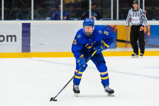 Swedens Karl Henriksson