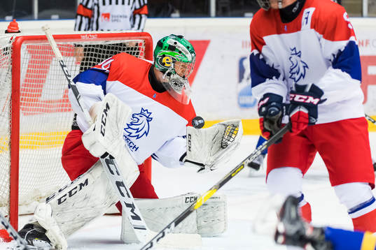 the czech republic Goalkeeper Radek Bednar